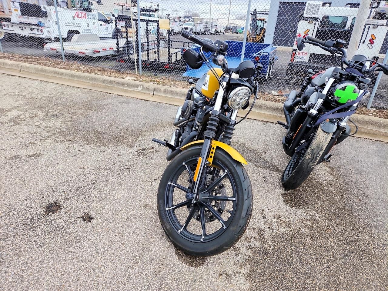 2019 Harley-Davidson XL883 N