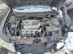 2011 Acura TL