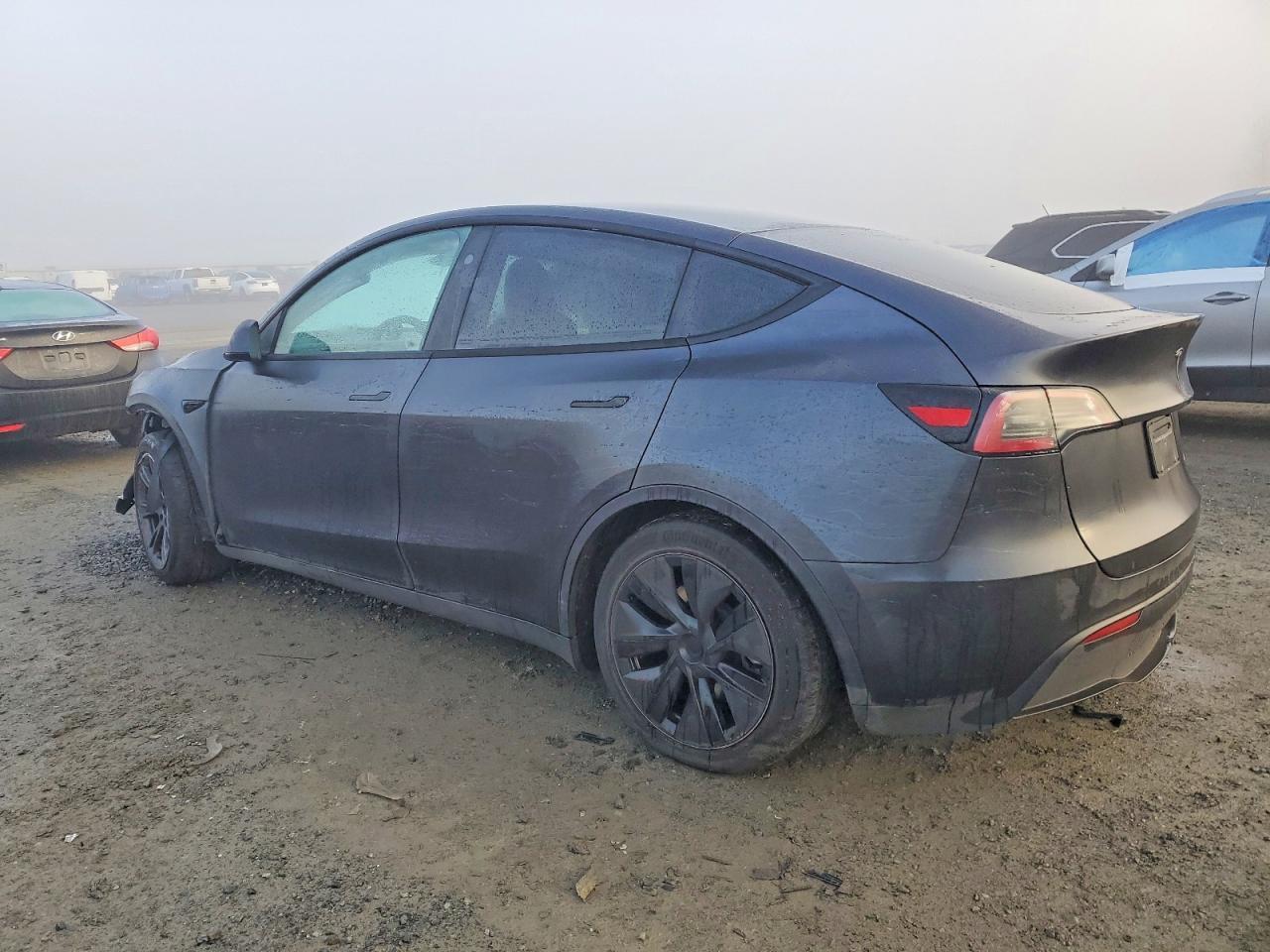 2025 Tesla Model y