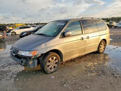 Honda Odyssey exl Vehiculos salvage en venta: 2002 Honda Odyssey exl