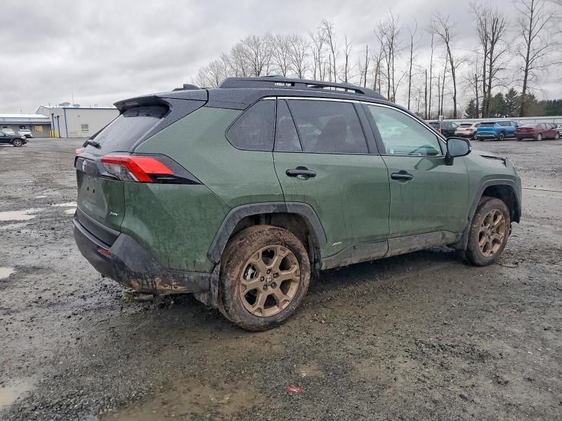 2025 Toyota Rav4 Woodland Edition