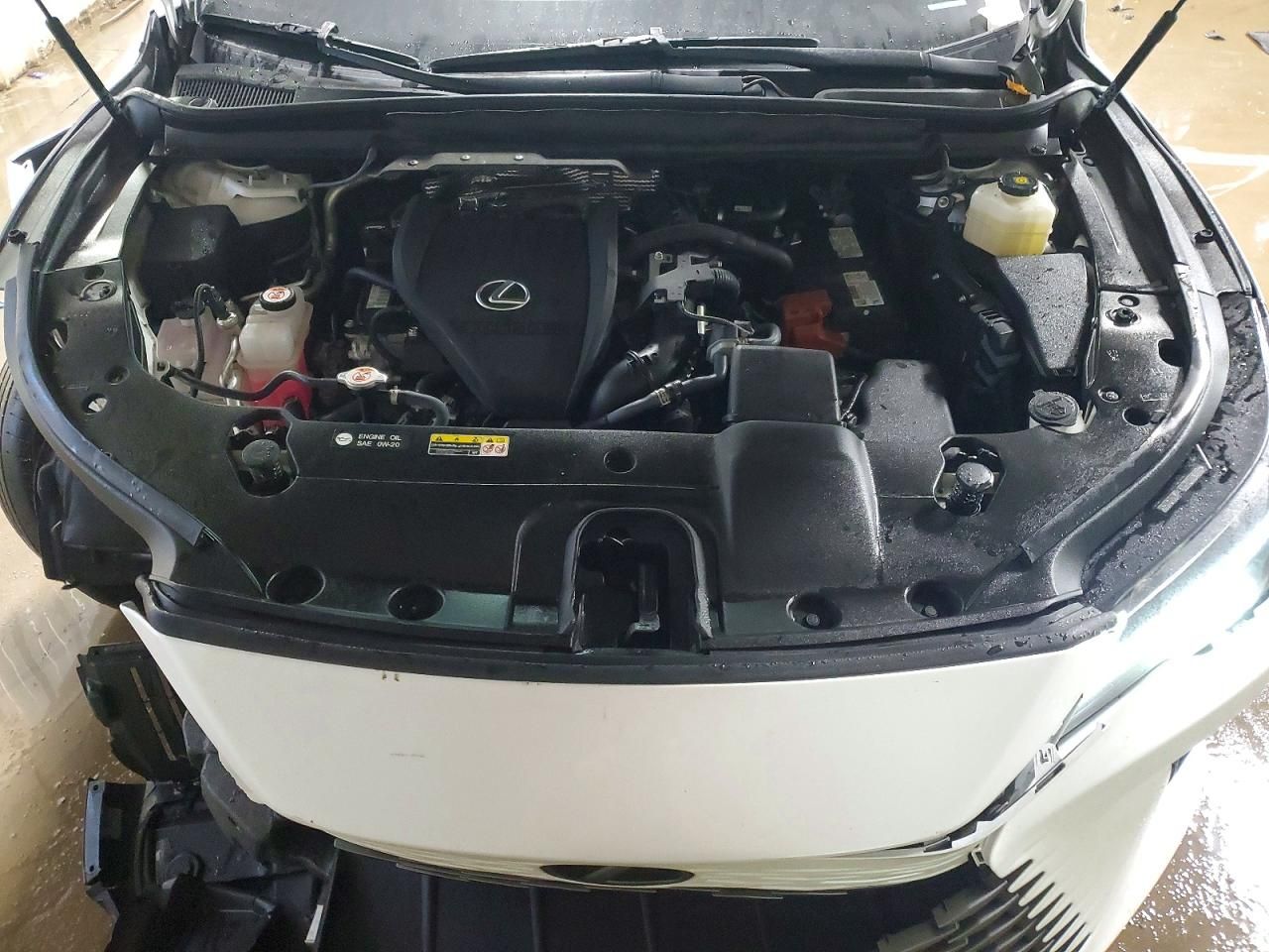 2023 Lexus Rx 350 Base