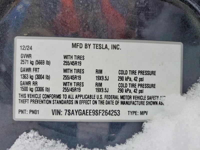 2025 Tesla Model y