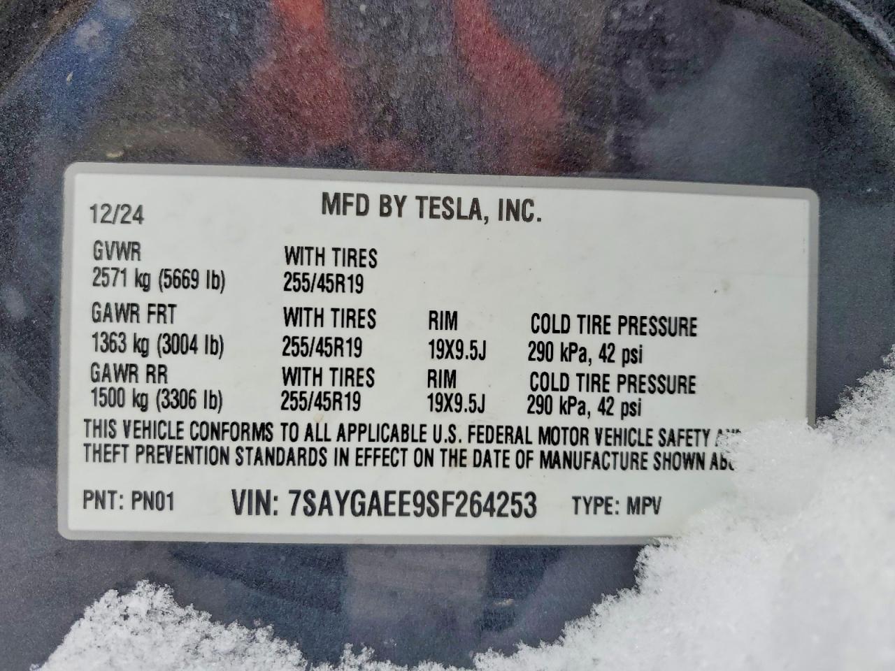 2025 Tesla Model y