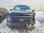 2024 Ford F150 xlt