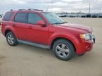 2010 Ford Escape Limited