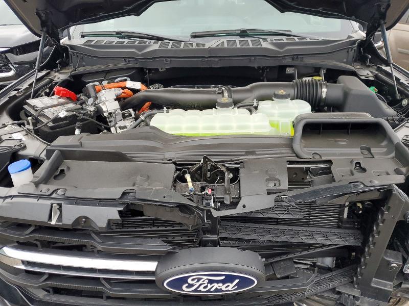 2025 Ford F150 xlt