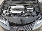 2022 Lexus Ux 200 Base