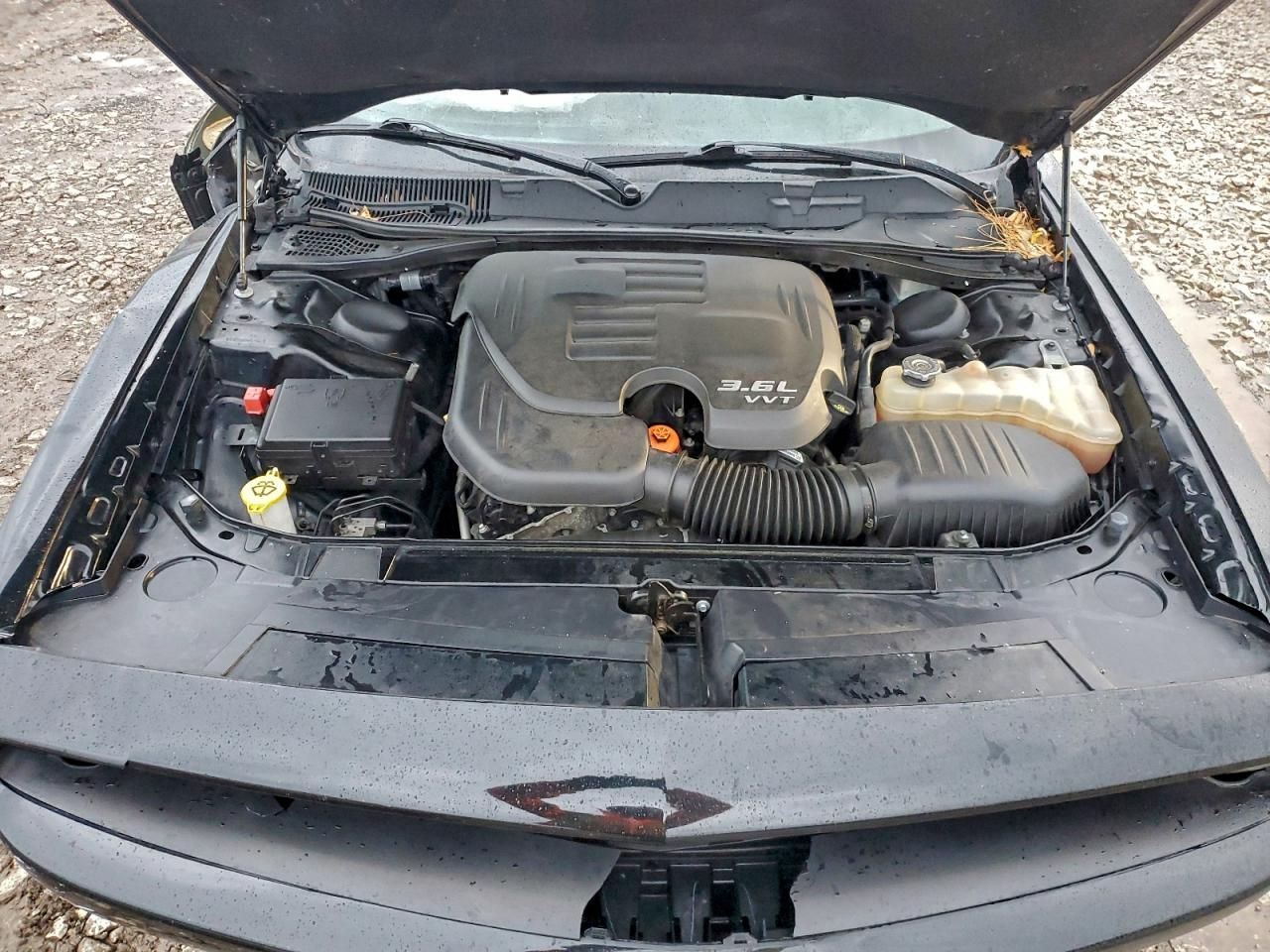 2017 Dodge Challenger gt