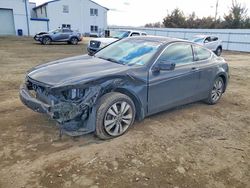 2010 Honda Accord exl for sale in Windsor, NJ