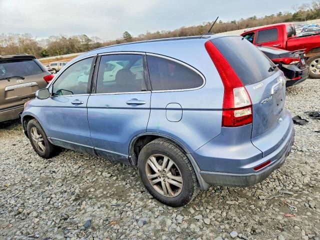 2010 Honda Cr-v exl