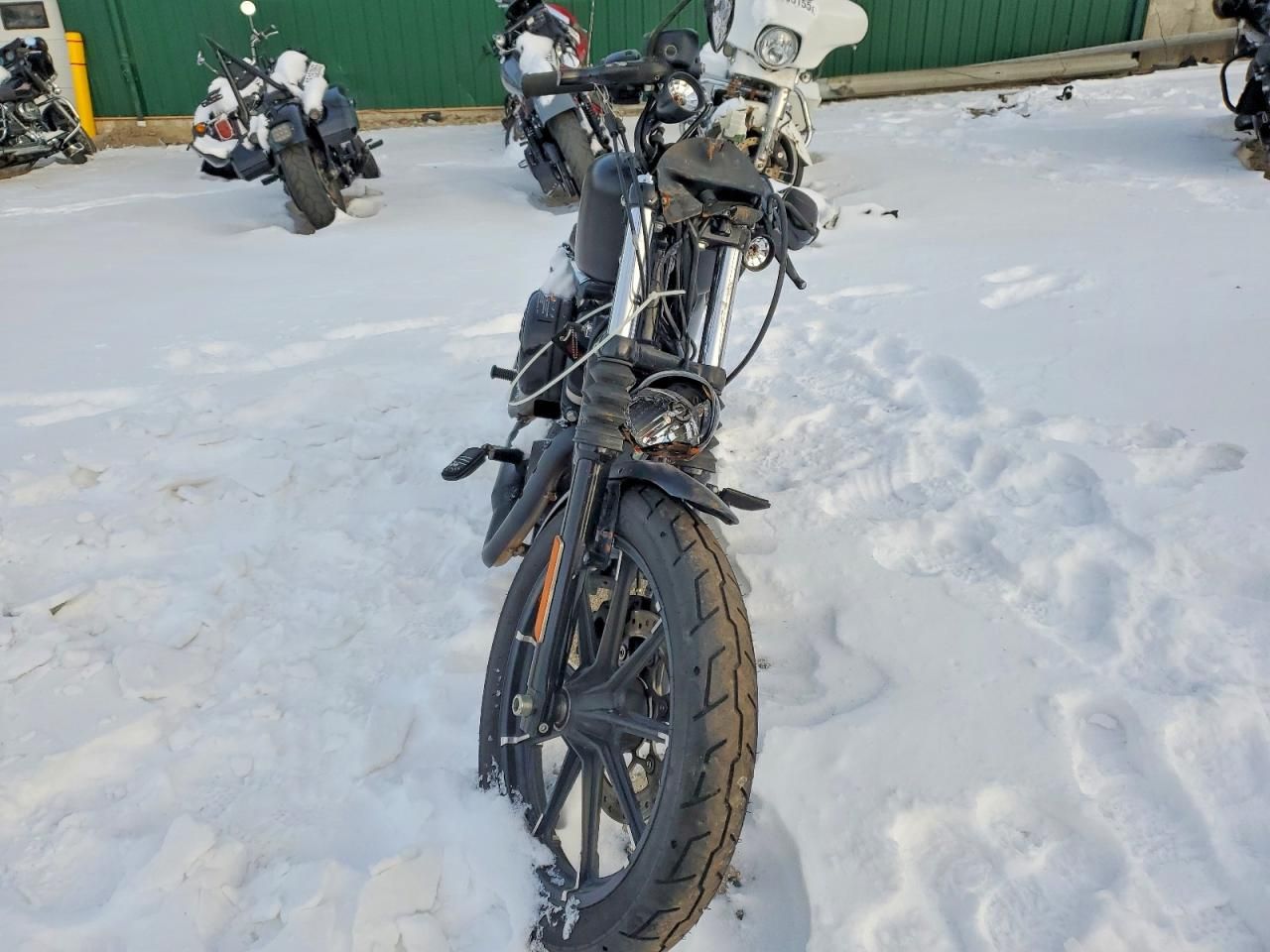 2021 Harley-Davidson Xl883 n