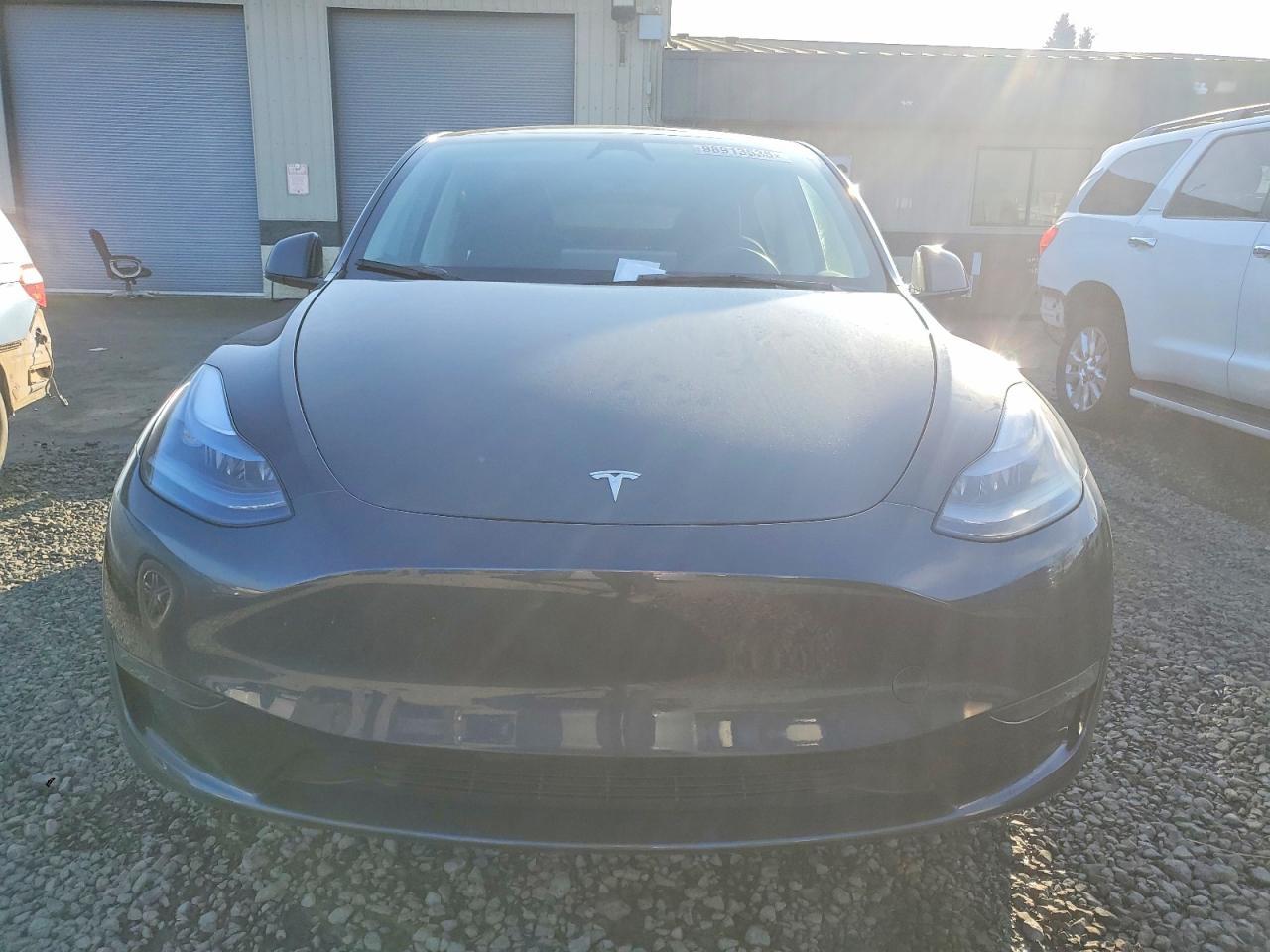 2025 Tesla Model y