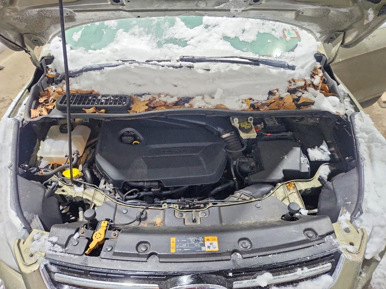 2013 Ford Escape sel