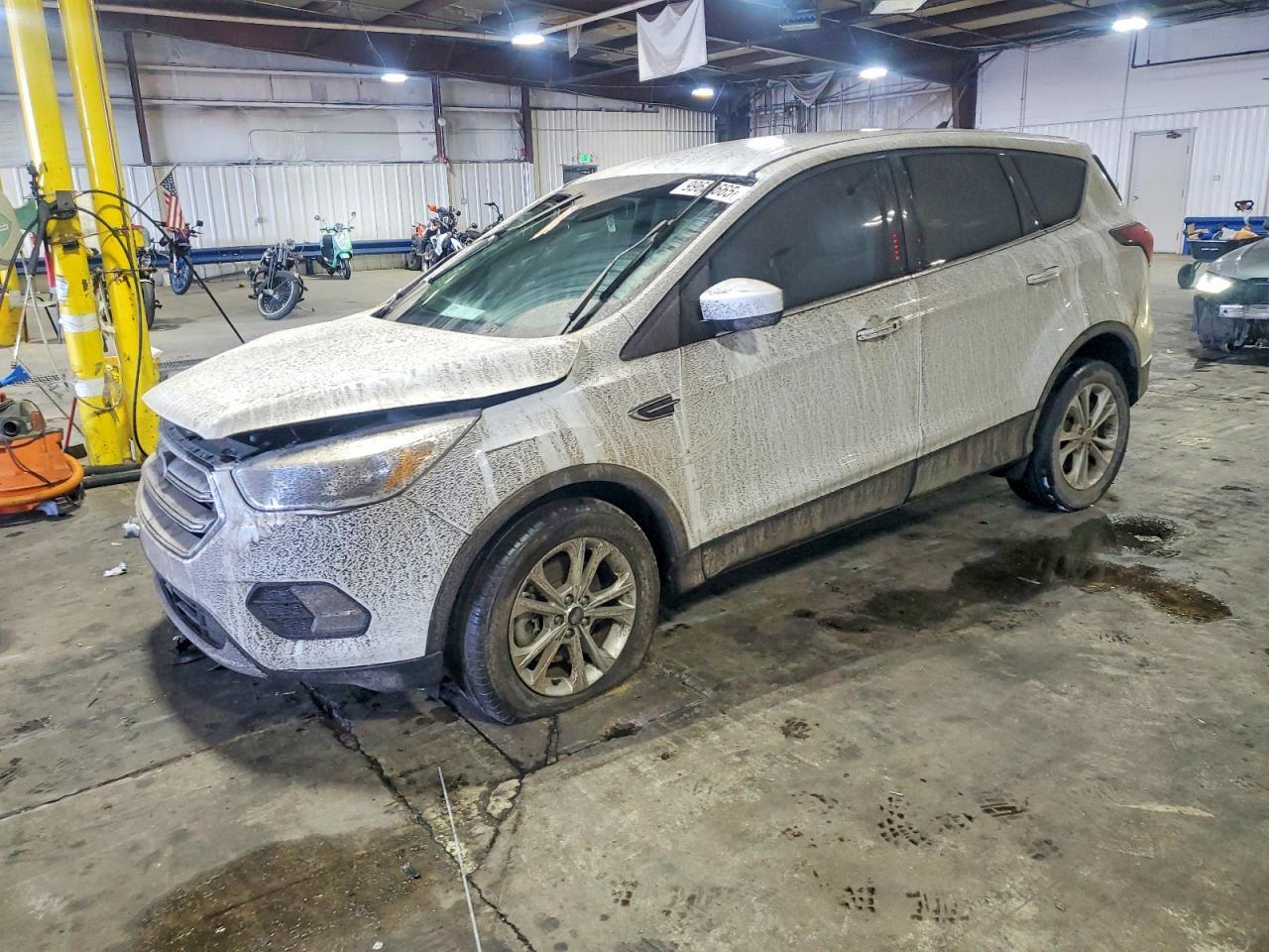2019 Ford Escape se