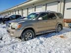 2005 Toyota Sequoia SR5