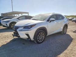 Salvage cars for sale from Copart West Palm Beach, FL: 2021 Lexus Nx 300 Base
