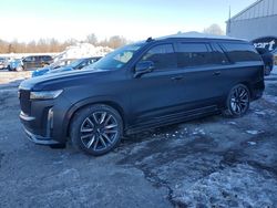 Cadillac salvage cars for sale: 2021 Cadillac Escalade esv Sport