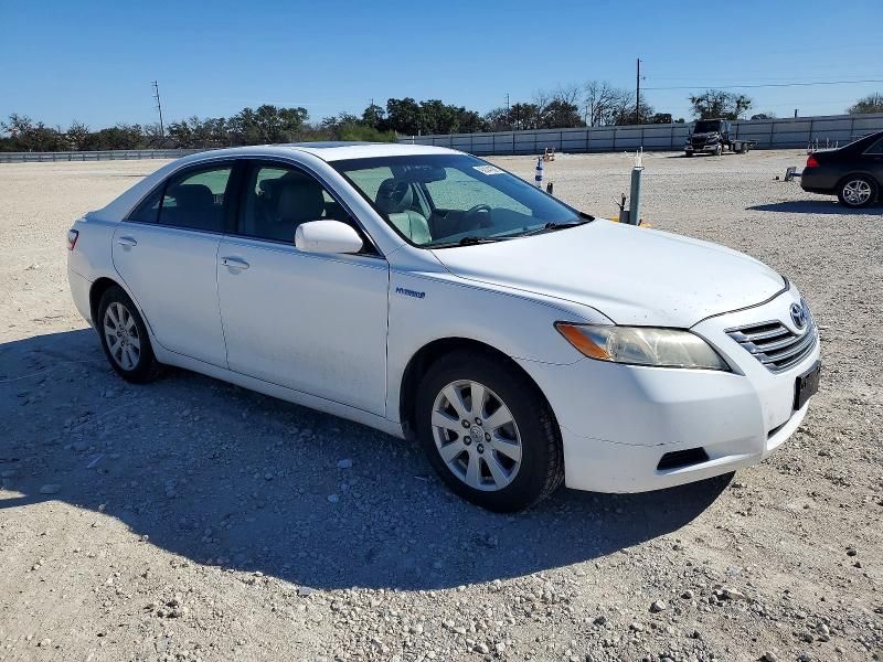 2009 Toyota Camry Hybrid