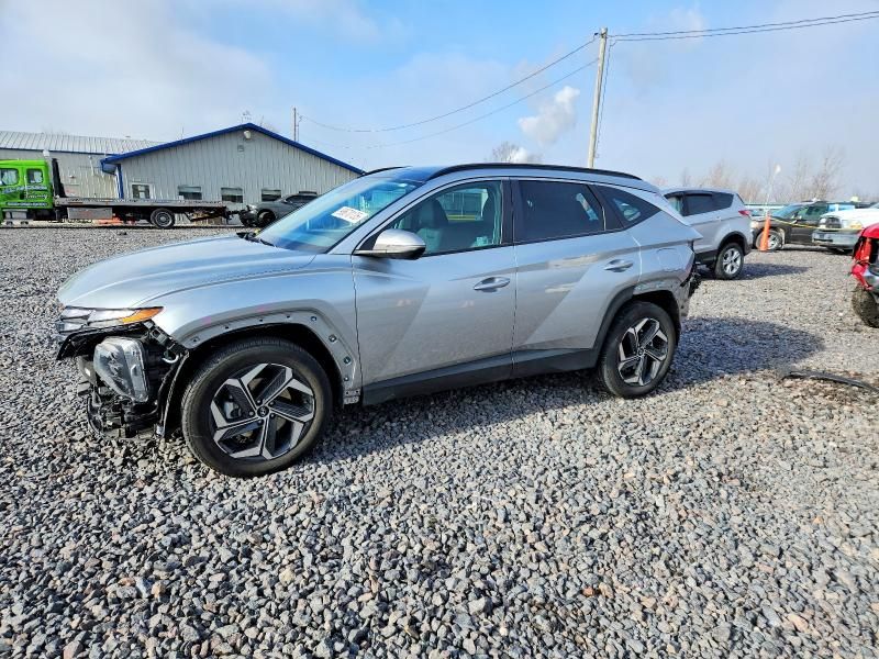 2024 Hyundai Tucson sel Convenience