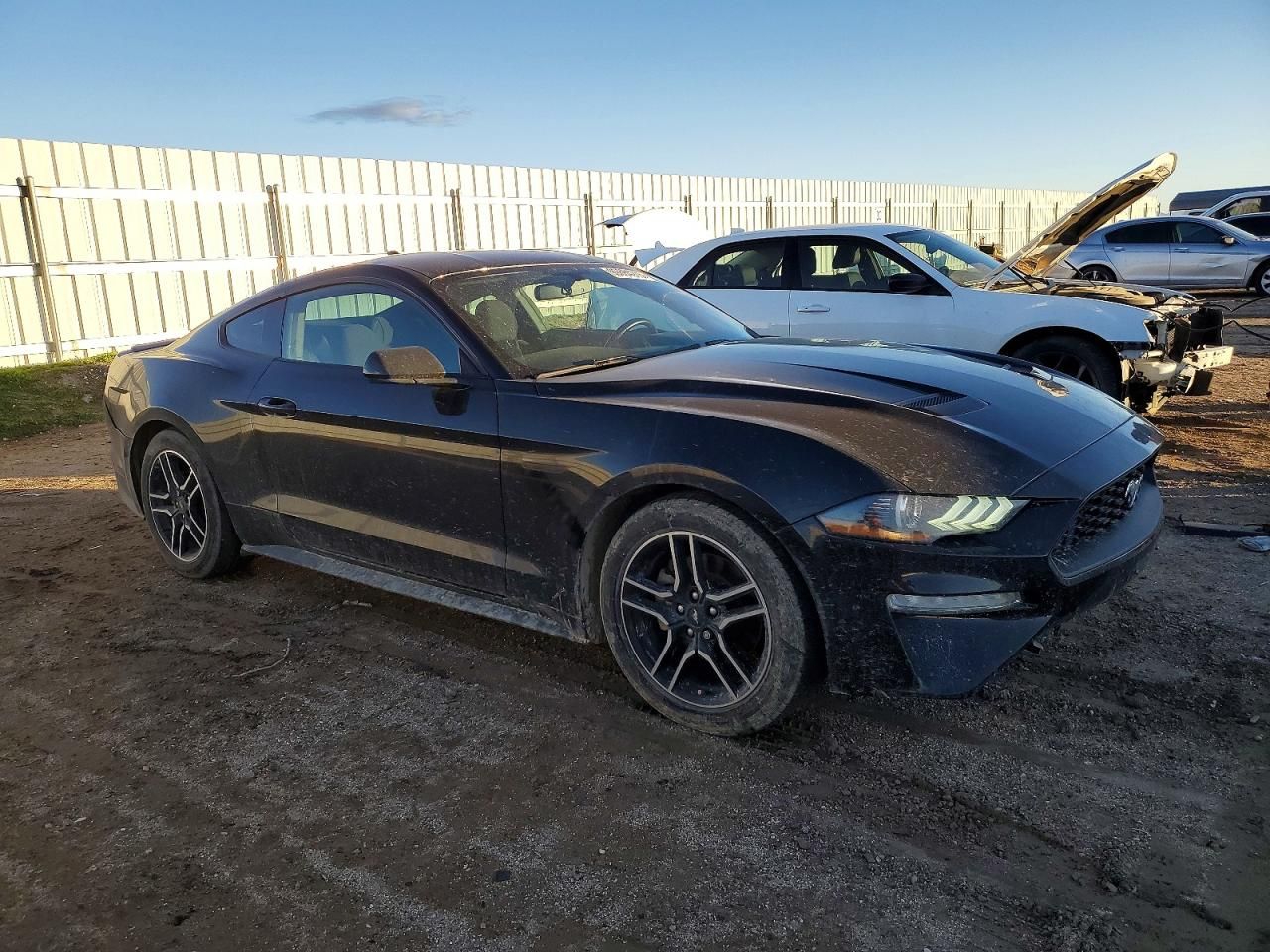 2020 Ford Mustang