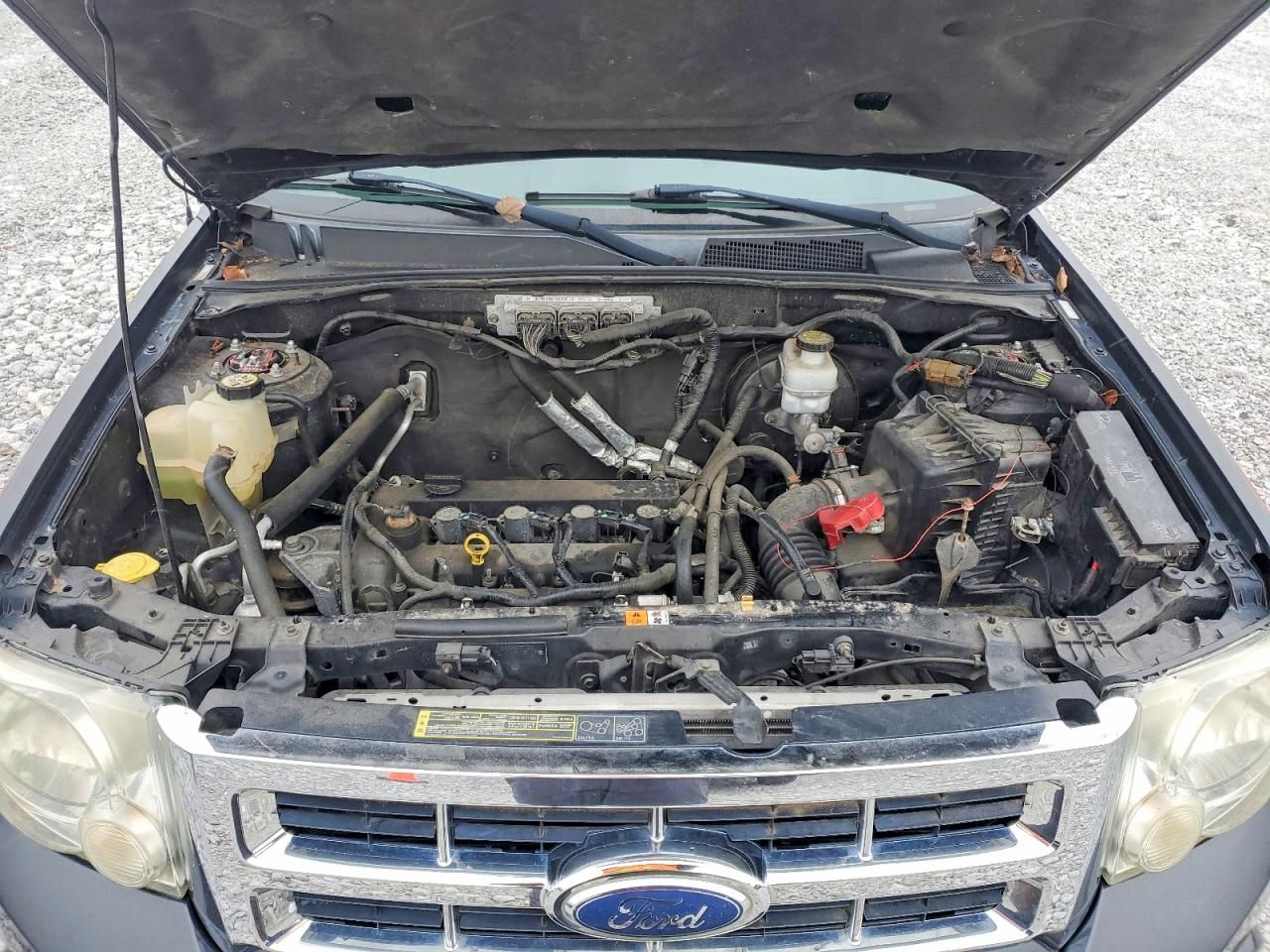 2009 Ford Escape xlt