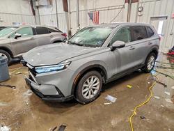 2025 Honda Cr-v ex for sale in Franklin, WI