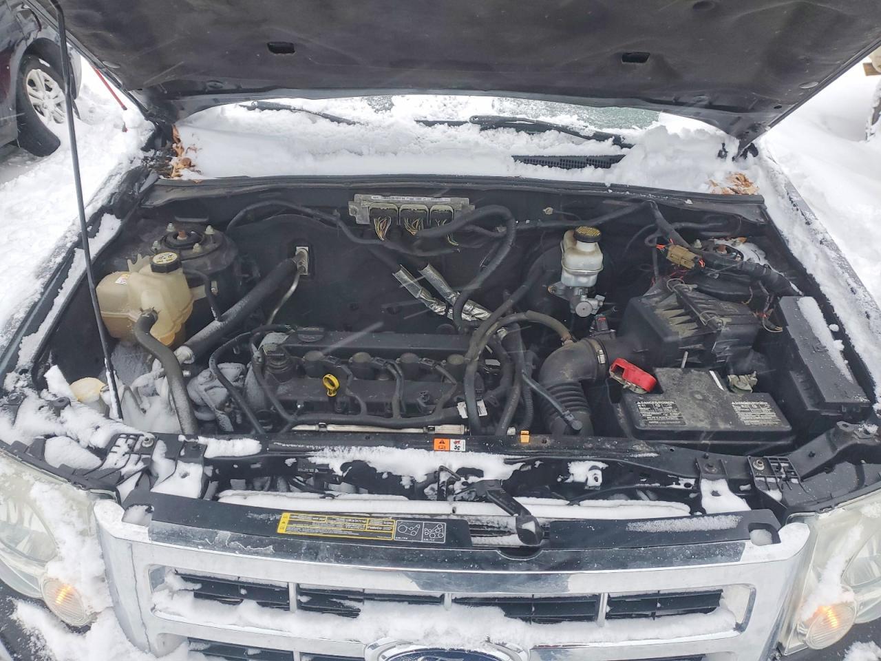 2010 Ford Escape xlt