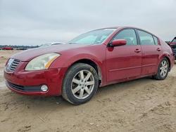 Nissan salvage cars for sale: 2004 Nissan Maxima se
