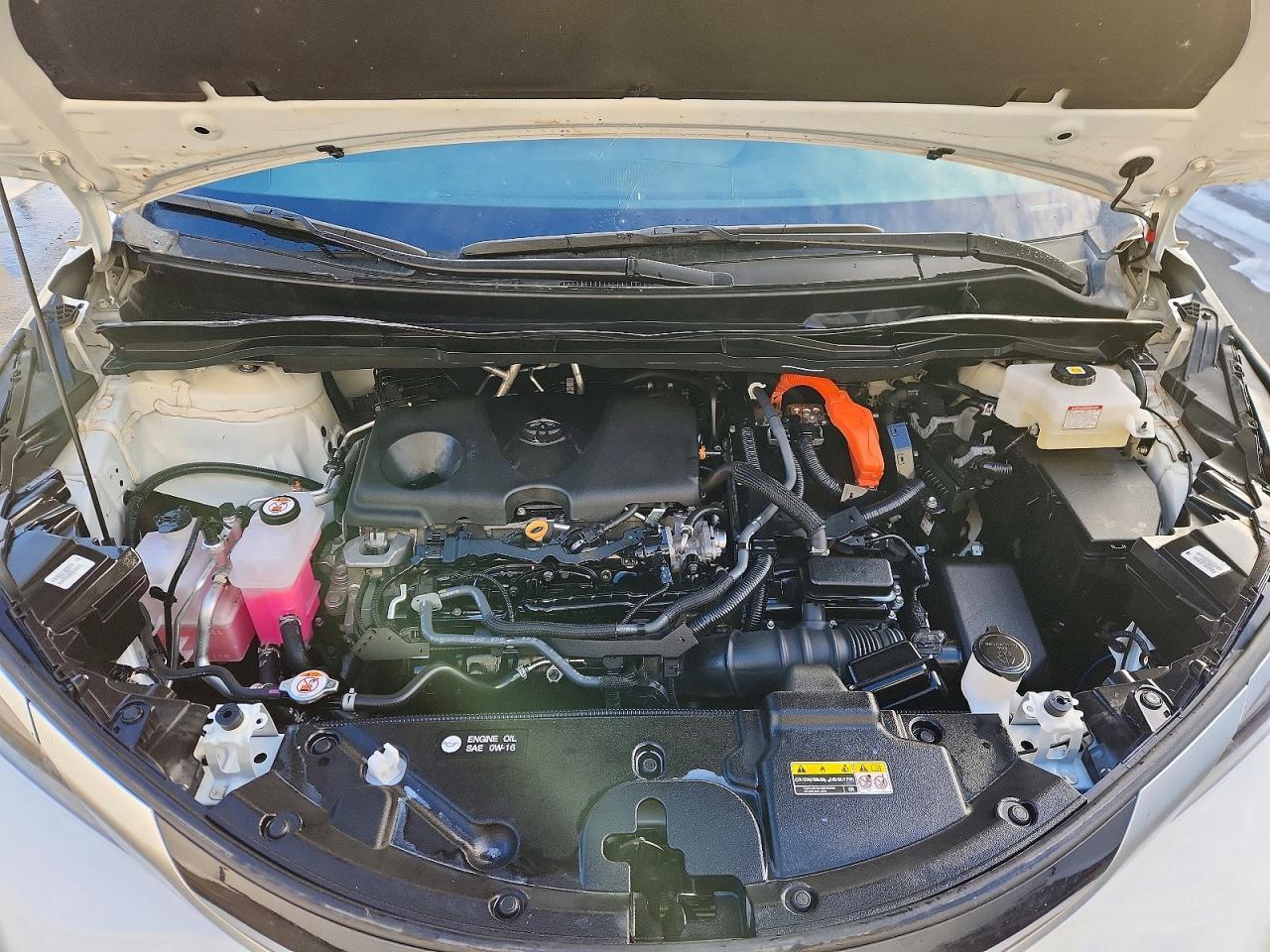 2024 Toyota Sienna le