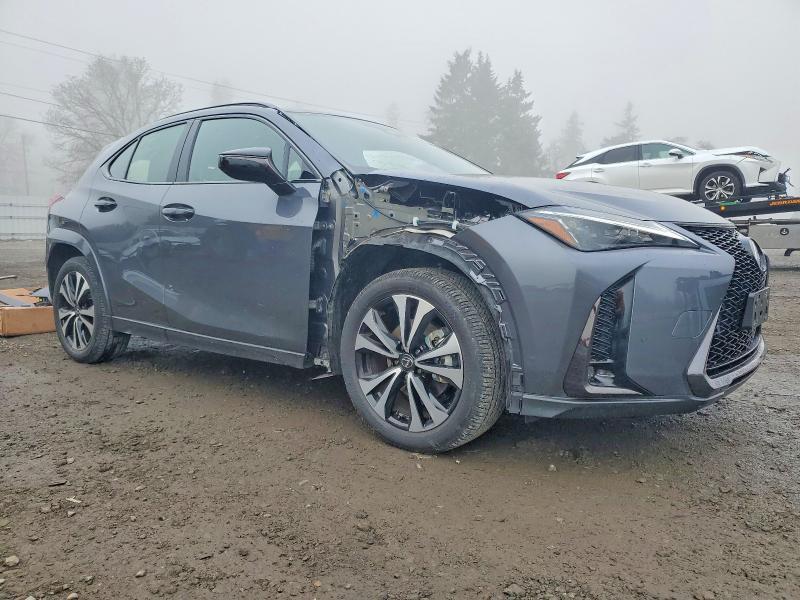 2025 Lexus Ux 300h f Sport Design