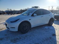Tesla salvage cars for sale: 2023 Tesla Model y