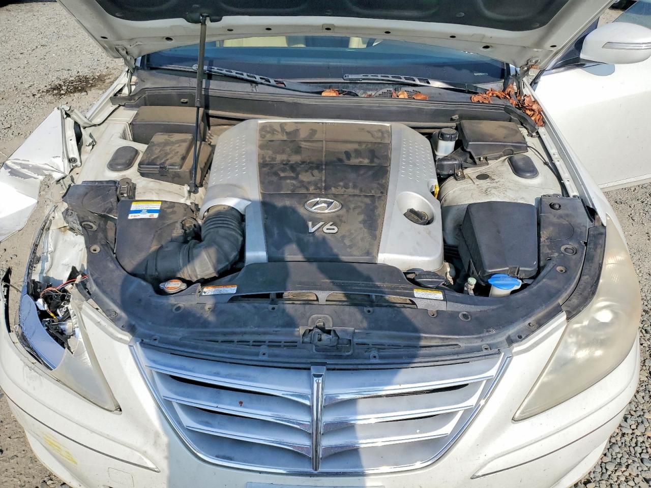 2011 Hyundai Genesis 3.8l