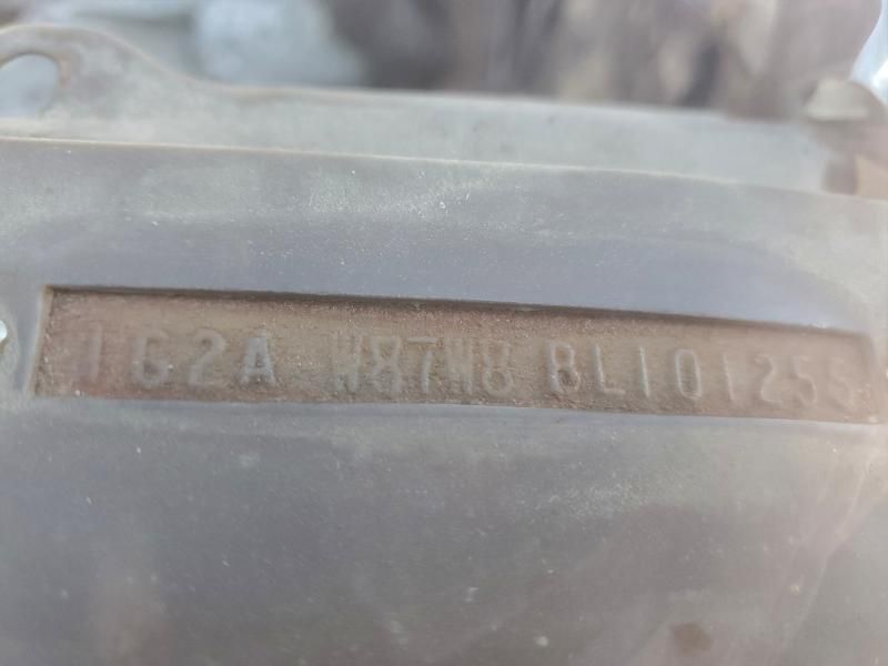 1981 Pontiac Firebird Trans am