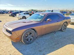 Dodge salvage cars for sale: 2013 Dodge Challenger sxt