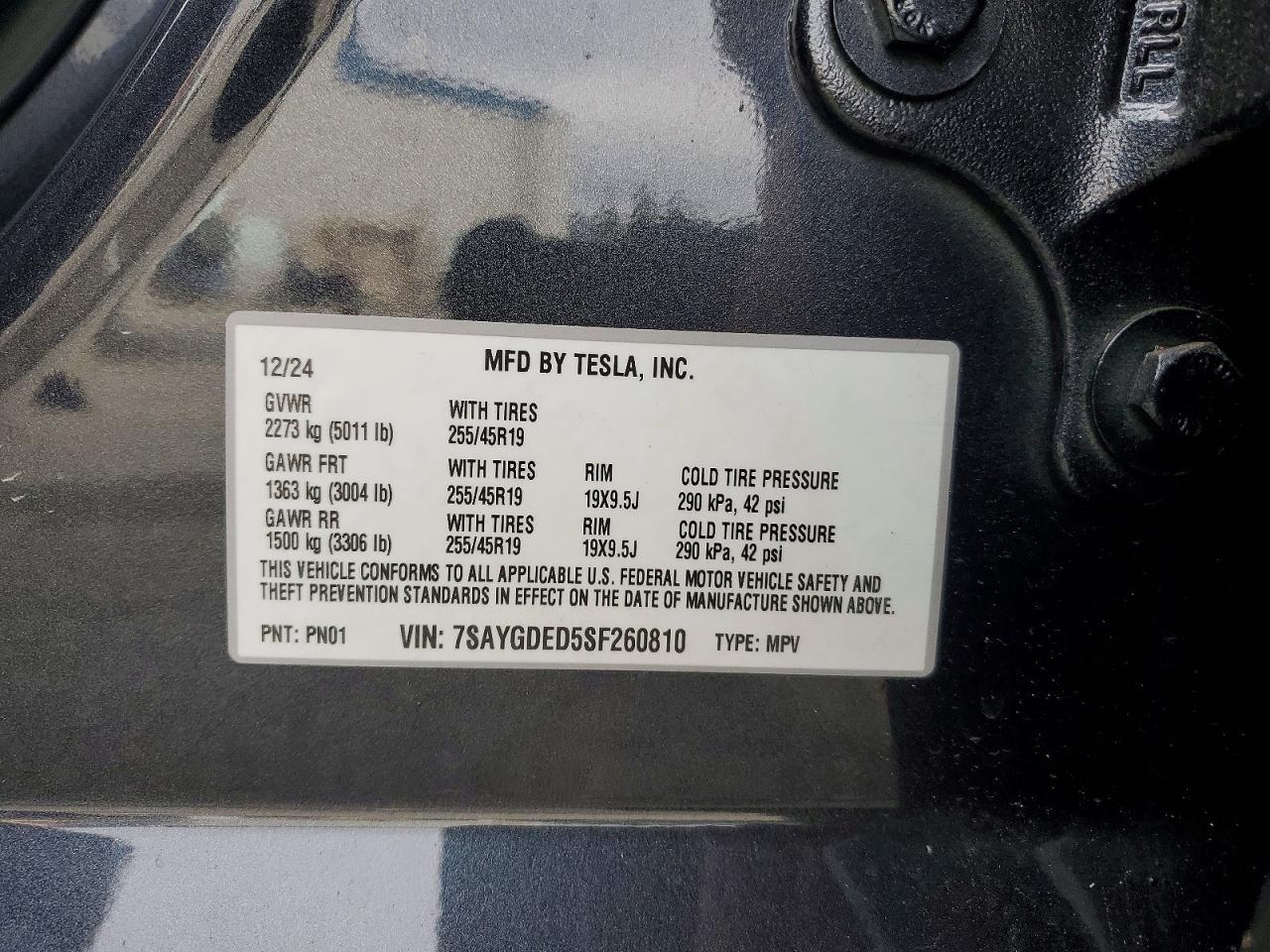 2025 Tesla Model y