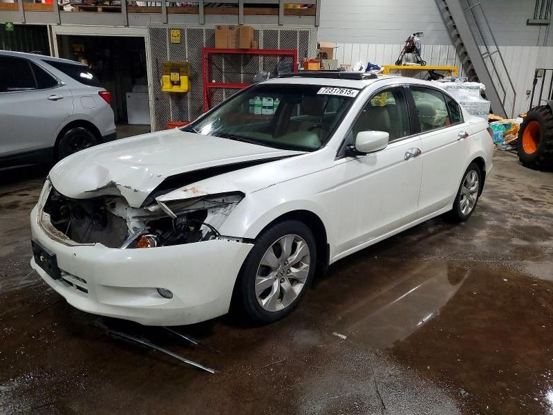 2010 Honda Accord exl