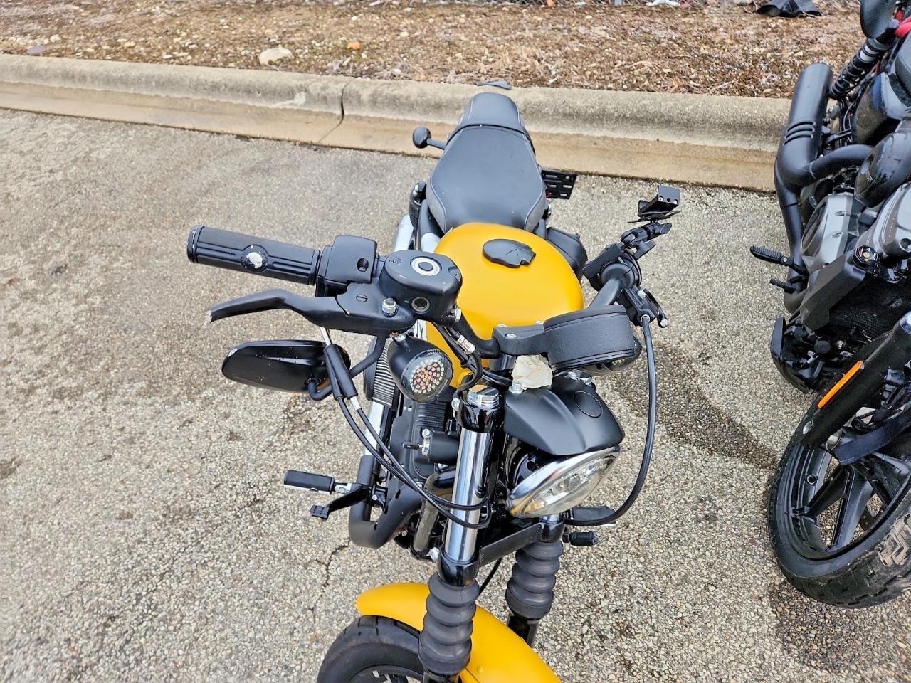 2019 Harley-Davidson XL883 N