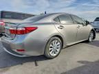 2015 Lexus Es 300h