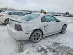 2003 Ford Mustang gt