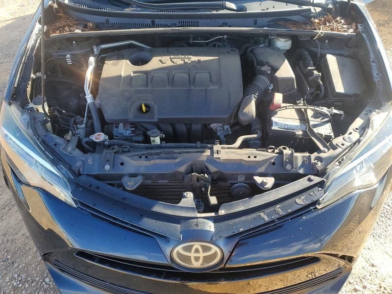 2019 Toyota Corolla l