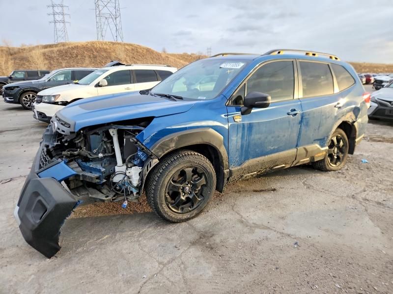 2024 Subaru Forester Wilderness