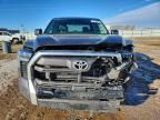 2024 Toyota Tundra Crewmax Limited