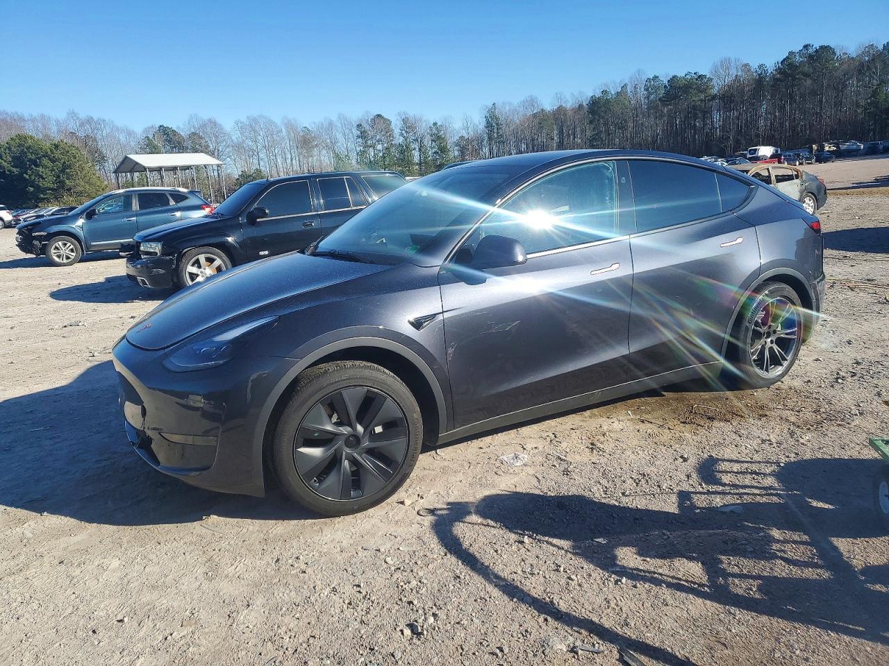 2024 Tesla Model y