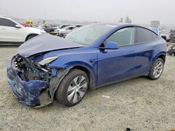 Tesla salvage cars for sale: 2022 Tesla Model y