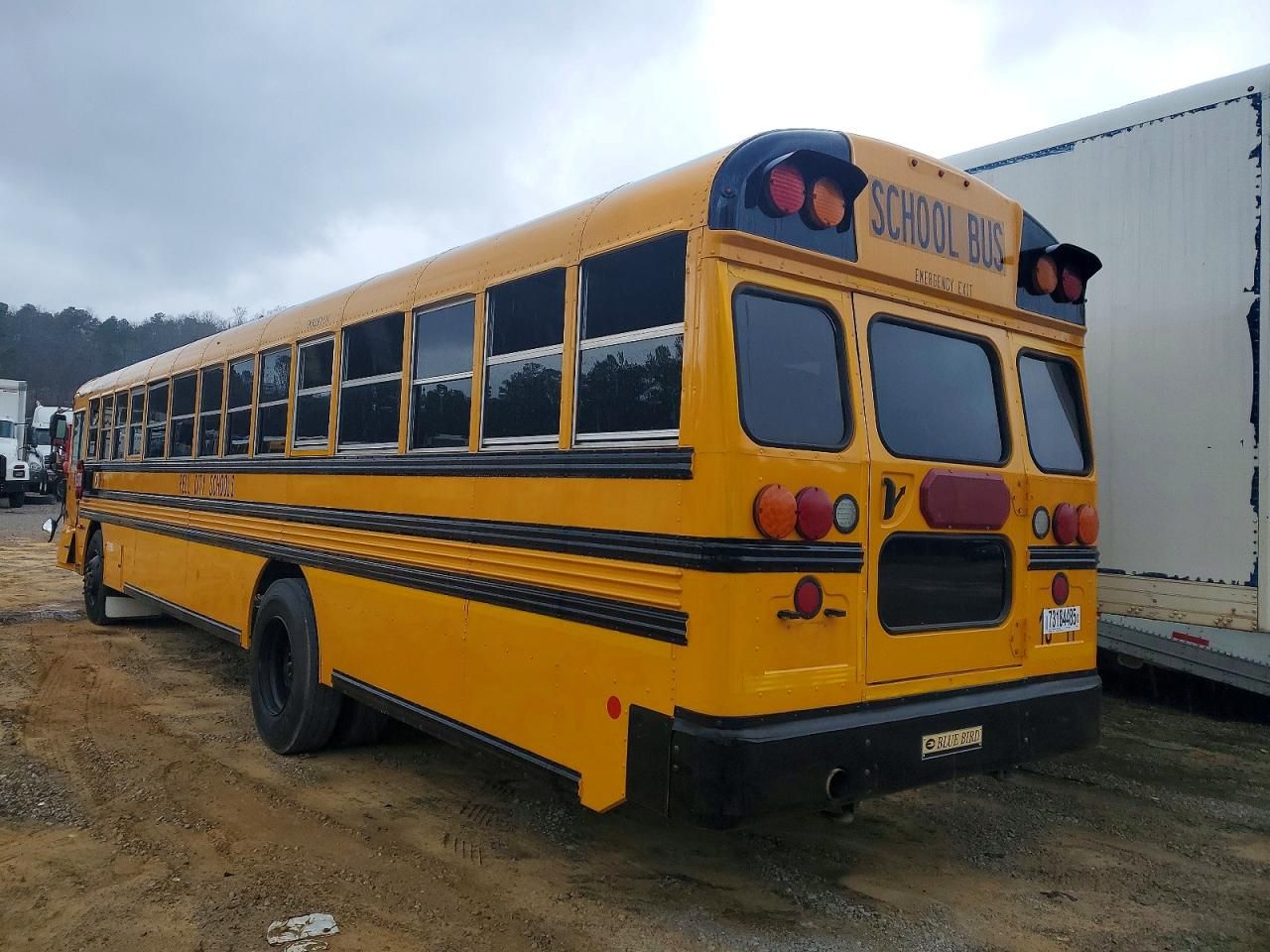 2018 Bluebird 2018 Blue Bird School Bus / Transit Bus