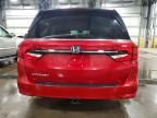 2022 Honda Odyssey exl