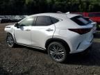 2025 Lexus Nx 350h Base