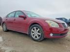 2004 Nissan Maxima se