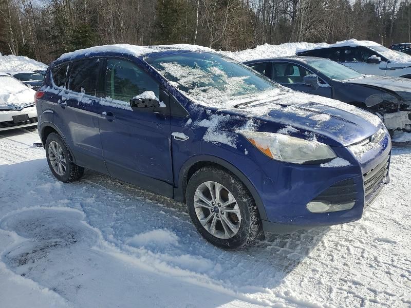 2014 Ford Escape se